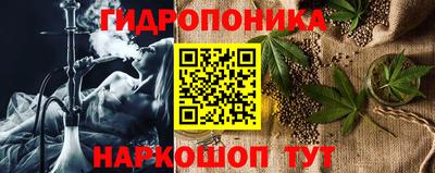 индика Тара