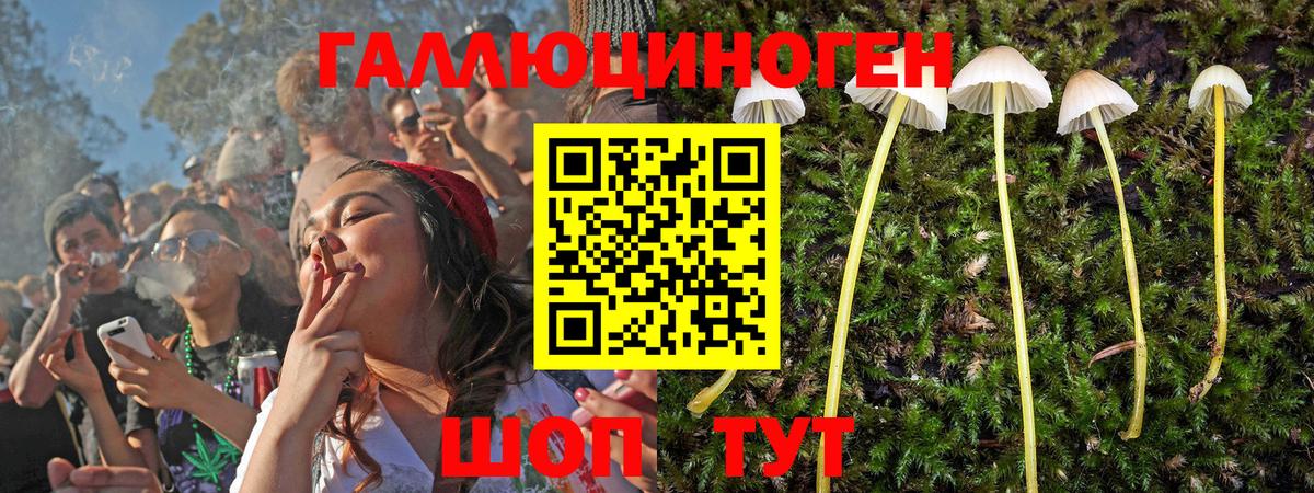 Малгобек  Галлюциногенные грибы прущие грибы  закладки  Вход с VPN 
