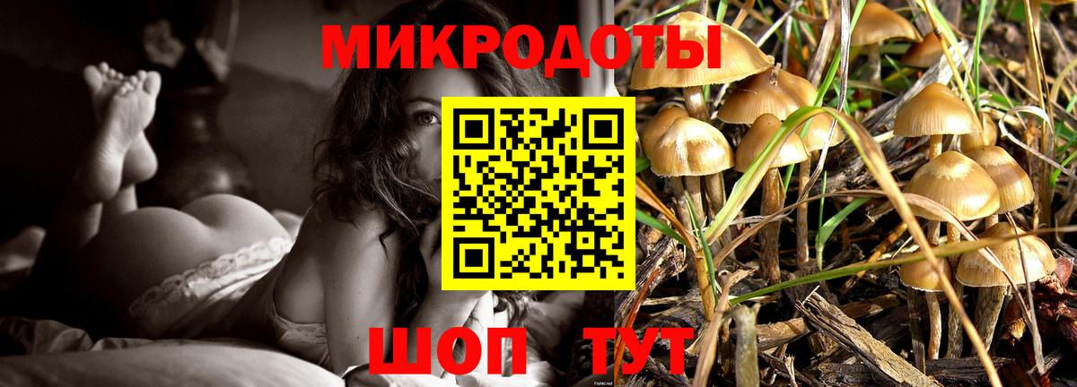 Галлюциногенные грибы Psilocybine cubensis Малгобек